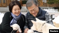 資料照：南韓時任總統文在寅和夫人與北韓贈送給他的一對白色豐山犬在一起。 (2018年11月27日)。