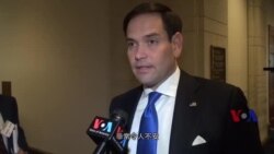 鲁比奥参议员接受美国之音专访