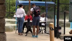 華盛頓特區市政府，每年都會安排九月的第一個週末為“狗狗暢泳日”。（美國之音/莫幹生）