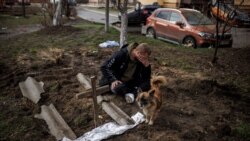 歐盟阻止在俄羅斯和白俄羅斯註冊的車輛進入歐盟