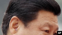 中国国家副主席习近平(资料照片)