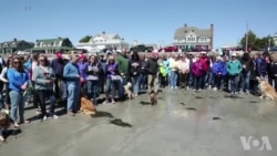 民众在缅因海滩聚集 追思芭芭拉·布什女士