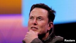 特斯拉总裁伊隆·马斯克（2019年6月13日）
