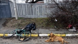 俄軍被指在基輔郊外犯下戰爭罪 國際社會憤怒