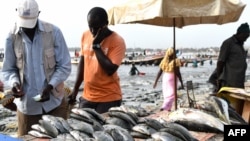 资料照片：2019年7月22日，捕捞的鱼在塞内加尔达喀尔某海滩的一个摊位上出售。（法新社照片）