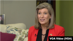 厄恩斯特參議員。（ 資料圖片）