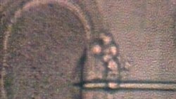 中國首例“單身女性凍卵案”原告敗訴 原告：“總有一天我們將收回我們身體的主權”