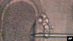 從顯微鏡下看到的利用體外受精技術使人類的卵子受孕。 -美聯社資料照。