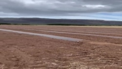 ການກຽມດິນ ເພື່ອການປູກຝັງໃນລະດູໃໝ່ ຢູ່ໃນອາລຸນຟາມ, ໂຮໂນລູລູ, ຮາວາຍ.