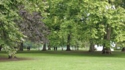 皇家衛隊鳴炮96響悼念女王