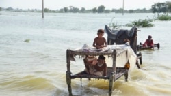 巴基斯坦洪水災民中大規模爆發腹瀉和瘧疾