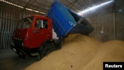资料照片：乌克兰农民正在装运收割的大麦(2016年7月14日）