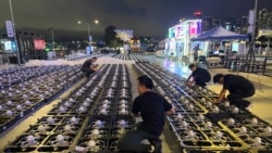 中國力推 “低空經濟”： 無人機鋪路 “天上GDP” 飛手熱還是虛火？