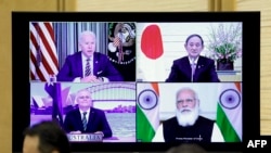 四方安全對話機製成員國通過視頻舉行高峰會議。（2021年3月12日）