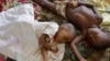 Malaria Drug May Fall Short for Children, Pregnant Women 