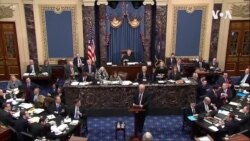 博爾頓若作證可能使彈劾審判出現變化