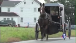 美国阿米什社区不满电视真人秀抹黑