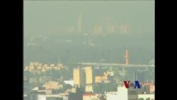 年终报道：气候变化与人类因素