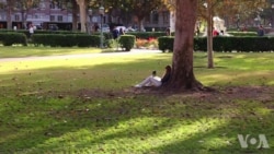 美国大学教授学生如何防范校园安全问题