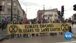 US States Tackle Emissions, as White House Rolls Back Environmental Legislation