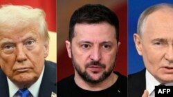 Дональд Трамп, Владимир Зеленский, Владимир Путин. Коллаж. (Photo by AFP).