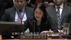 2016-12-06 美國之音視頻新聞: 俄中兩國否決阿勒頗人道救援停火