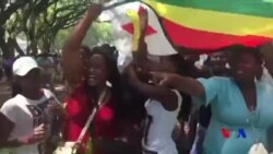 津巴布韋即將產生新總統