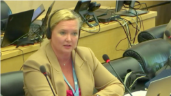 聯合國人權專家批評香港以法律打壓反對聲音 促修訂煽動罪