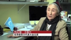 VOA专访：热比娅愿与中国政府对话