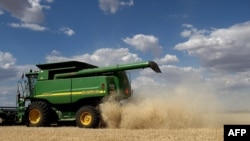 資料照：澳大利亞一家農場正在收穫大麥。