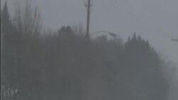 美國中部及南部天氣惡劣至少43人死亡