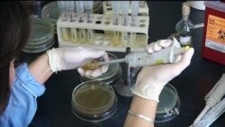 Old Antibiotic Alternatives Getting Second Look in the West