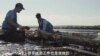 兄弟经营海洋农场 牡蛎生涯天地宽