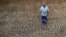 FILE - A farmer stands on cracked earth that three weeks earlier created the bottom of a reservoir on his farm, in Groot Marico, South Africa, Nov. 12, 2015. 
