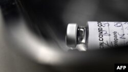 新冠病毒疫苗。(資料圖片)