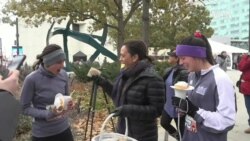 Democratic Presidential Field Shrinks as Harris, Bullock Exit