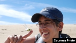 University of British Columbia ecologist Diane Srivastava, with a damselfly, an insect often used as an indicator species for estimating biodiversity and assessing ecosystem health. (T. Zulkoskey)
