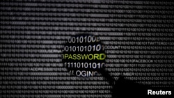 资料图：2013年5月21日柏林： 对准电脑屏幕的放大镜。