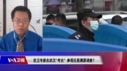 时事大家谈：世卫专家在武汉 “考古”参观还是溯源调查？