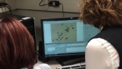 梅奥诊所的研究员对抗衰老药物进行测试