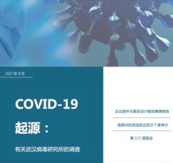 美国众议院外交委员会少数党有关新冠病毒起源和武汉病毒所的调查报告