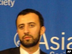 阿里內德, 蘭德公司國際關係政策分析員