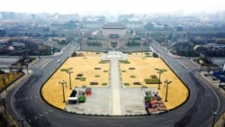 2021年最後一週 中國遭遇疫情反撲高峰