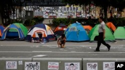 10月10日，香港市民在政府總部外搭建帳篷，繼續爭取真普選。