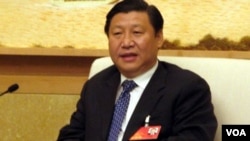 中國最高領導人習近平(資料圖片)