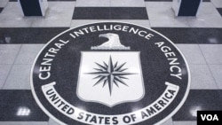 中情局网站图片 中央情报局标识