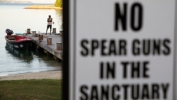 A sign warns against using spear guns in the Oracabessa Bay Fish Sanctuary in Oracabessa Bay, Jamaica, Feb. 13, 2019.