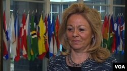 美國駐聯合國日內瓦代表處大使艾琳.多納霍(2012年11月13日照片)