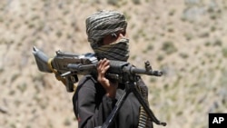塔利班武裝分子