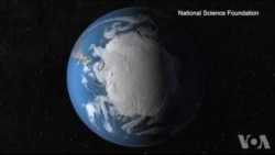 南极冰层下发现多种海洋生物